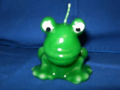 Bug-Eyed Frog